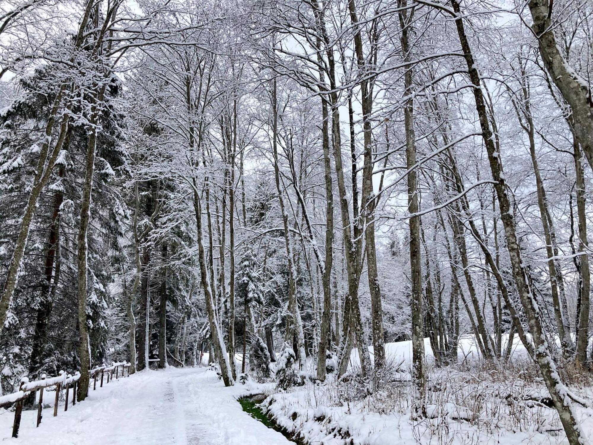 La Ferme Du Praz 호텔 레컨테민스몬트조이 외부 사진