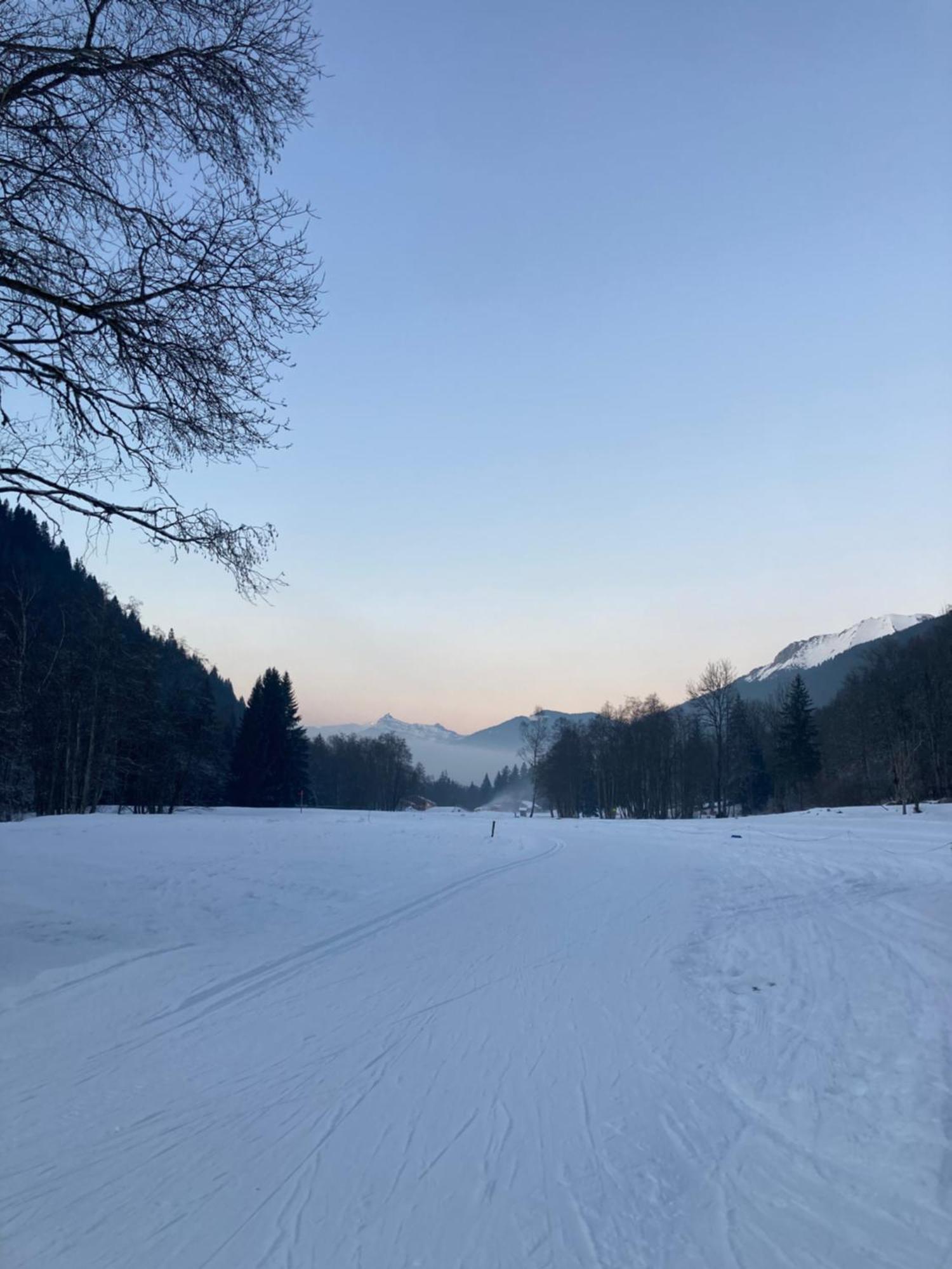 La Ferme Du Praz 호텔 레컨테민스몬트조이 외부 사진